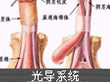 一般龟头炎都有哪些类型？